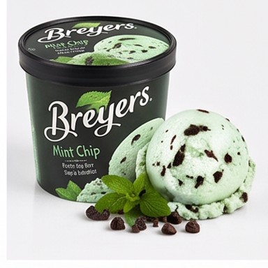 Mint Chocolate Chip Ice Cream