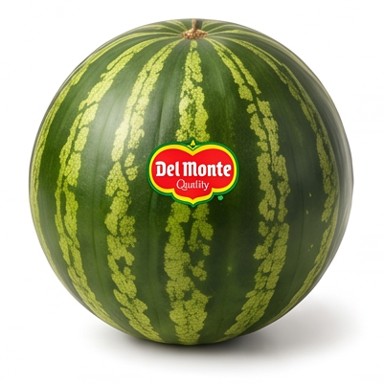 Mini Watermelon