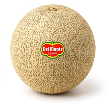 Cantaloupe