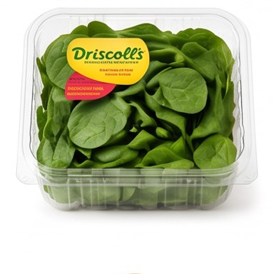 Baby Spinach