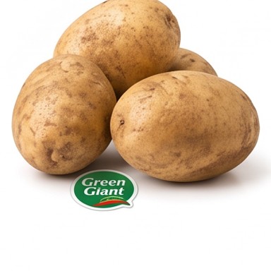 Russet Potatoes